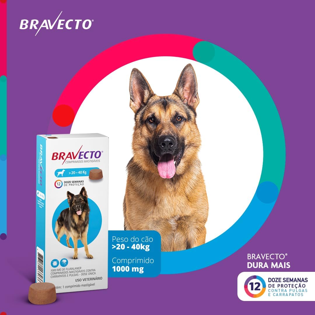 Favorece a explicação sobre princípio ativo, formato comprimido e dados relevantes do rótulo.