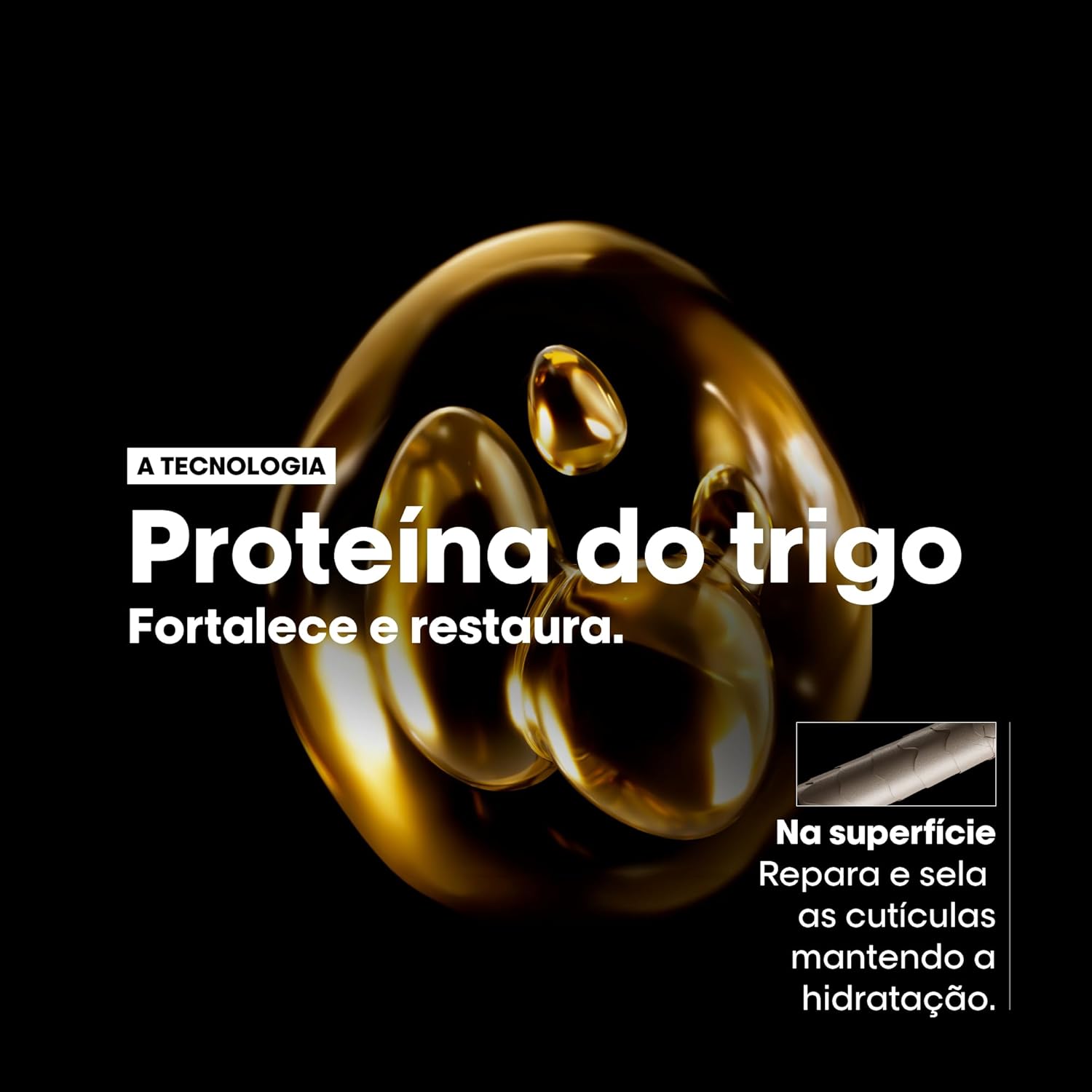 Ajuda a ilustrar a promessa de reparação, brilho e tratamento profissional.