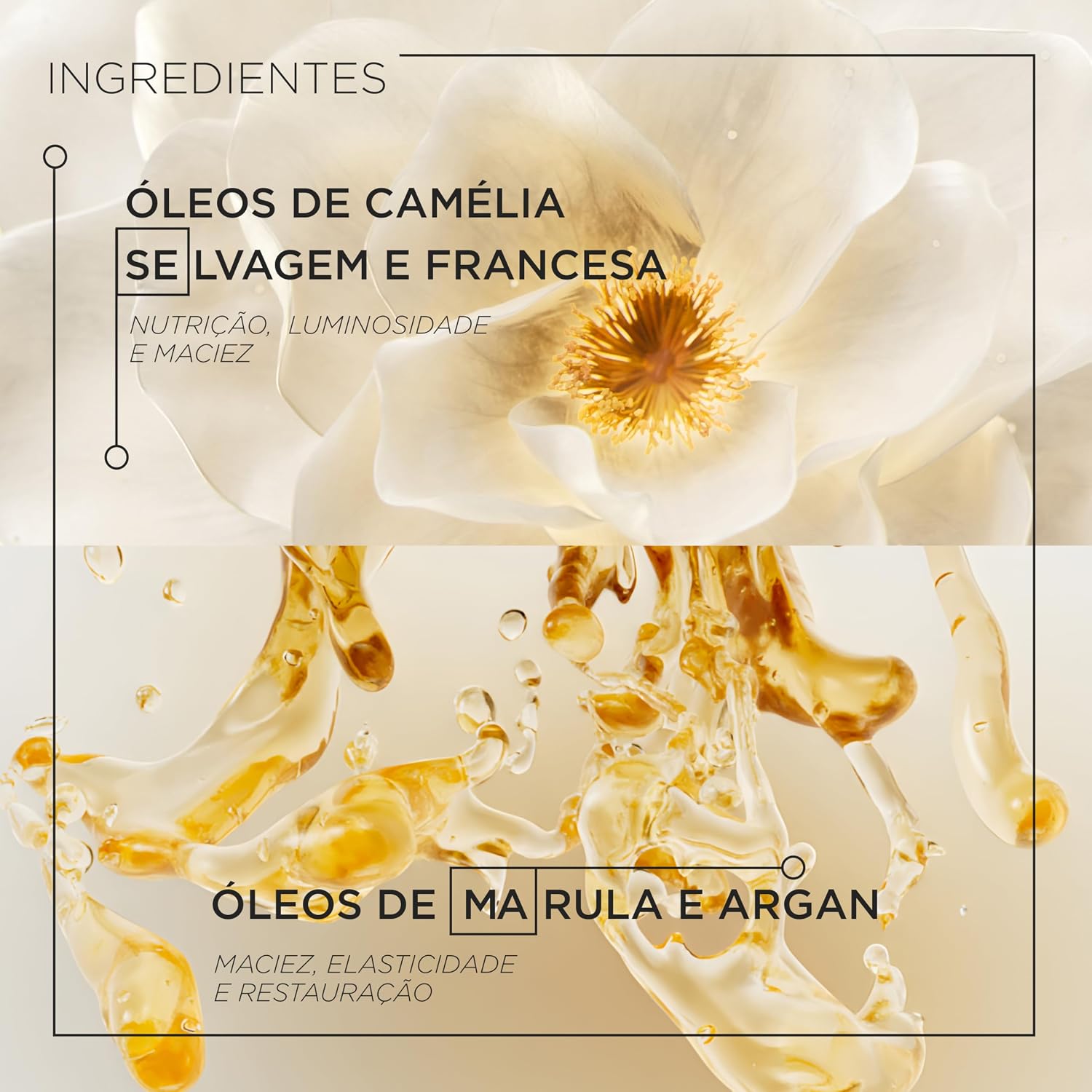 Proteção térmica, antifrizz e proposta multifuncional do óleo.