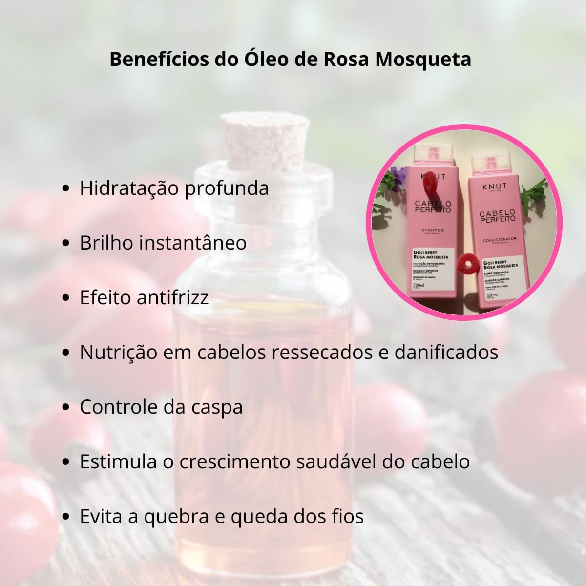 Ajuda a destacar a fórmula com Rosa Mosqueta e Goji Berry, além da promessa de nutrição e brilho.