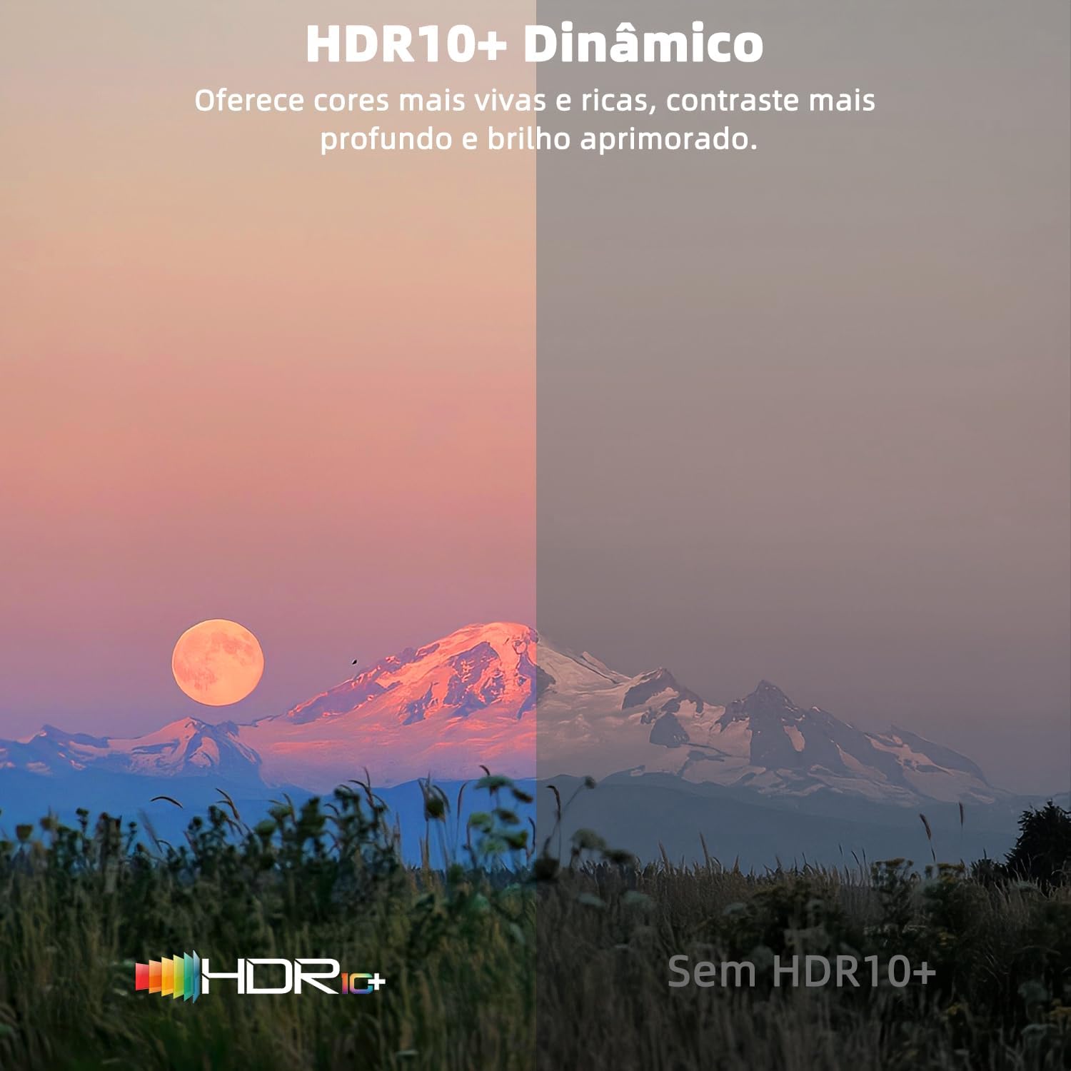 Mostra a proposta de cinema em casa e a experiência prática de projeção em ambiente cotidiano.